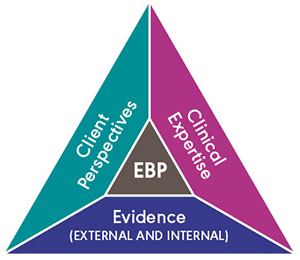 Evidence Based Practice Triangle