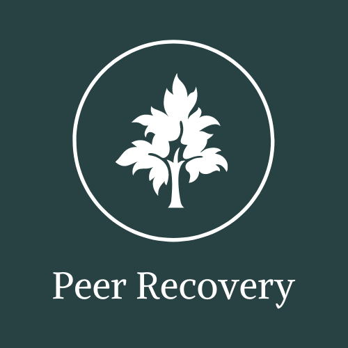 Peer Recovery