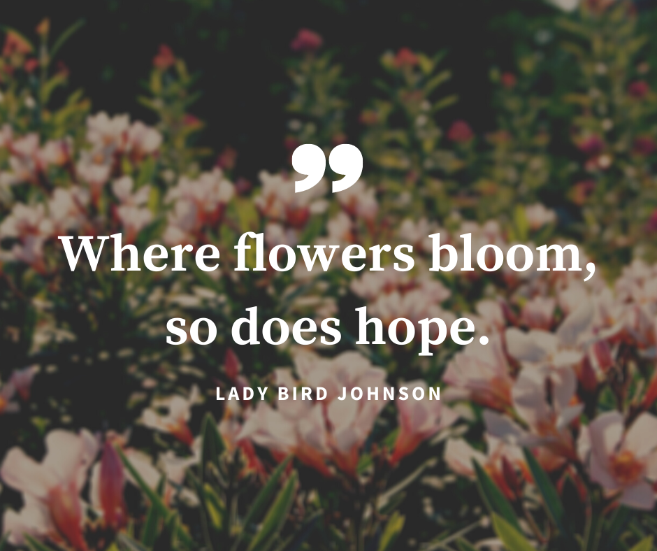 Simple Text Quote on Photo Flowers Facebook Post